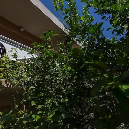 Apartman Konstanca * Makarska